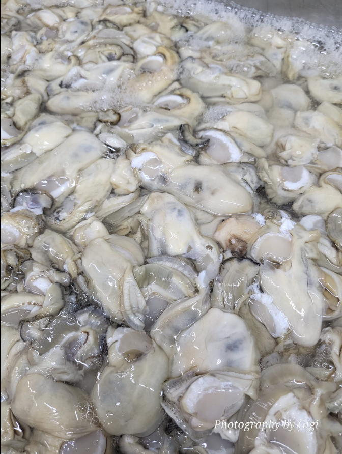 Shucked Oysters