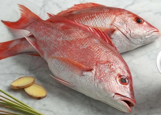 Whole Red Snapper (Currently Out of Stock)