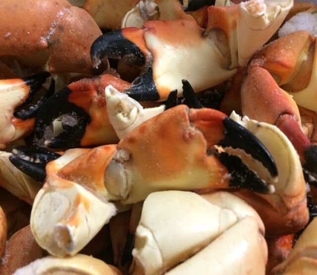 Stone Crab Claws 2 Lb Bag